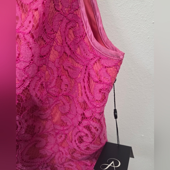 NWT Adrianna Papell Pink Lace Sleeveless Dress. Size 10 - Picture 4 of 8